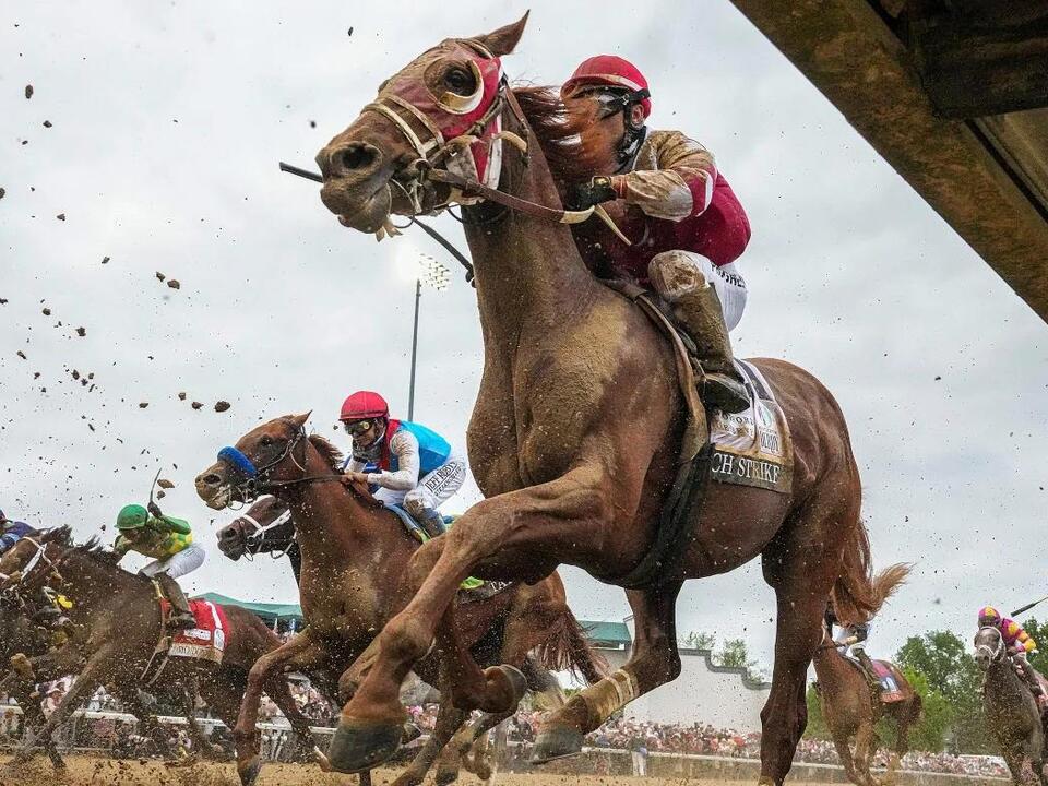 Belmont Stakes 2024 predictions, odds, field Win, place, show