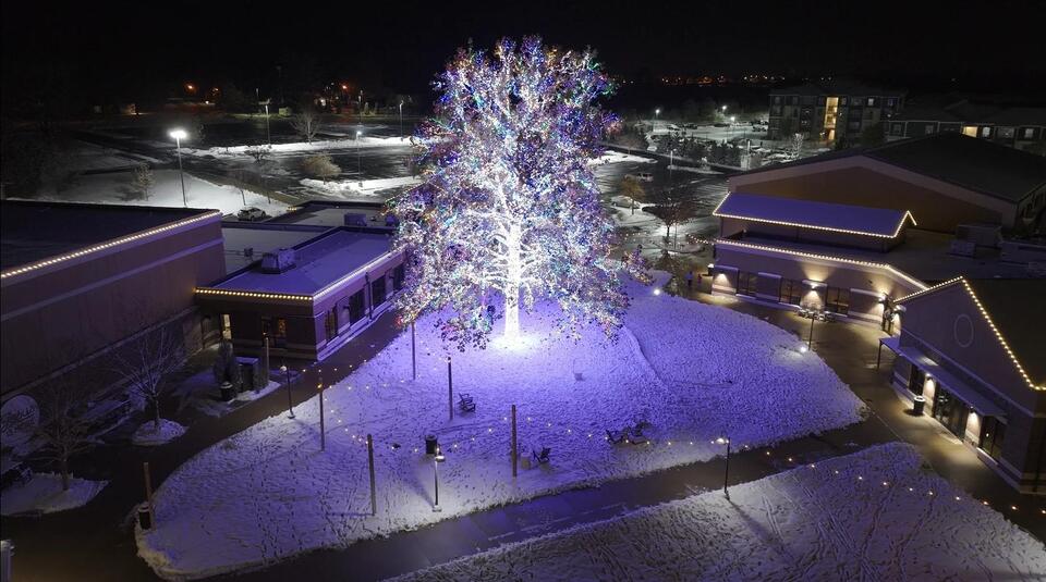 No Magic Tree at The Crossing in Columbia this year, church says ...