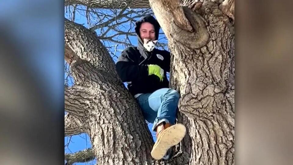 Rhode Island man rescues cat stuck in tree for 2 days during blizzard ...