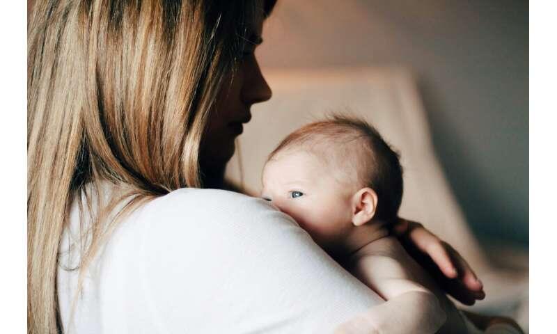 Brain circuit helps mothers wake up when their pups call