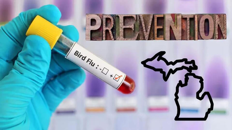 Health Experts Encourage Bird Flu Prevention Measures In Michigan ...