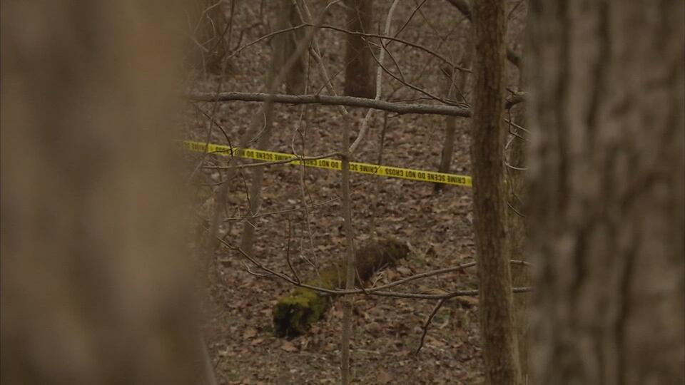 Attorneys for Richard Allen cite alleged errors in Delphi murders case ...