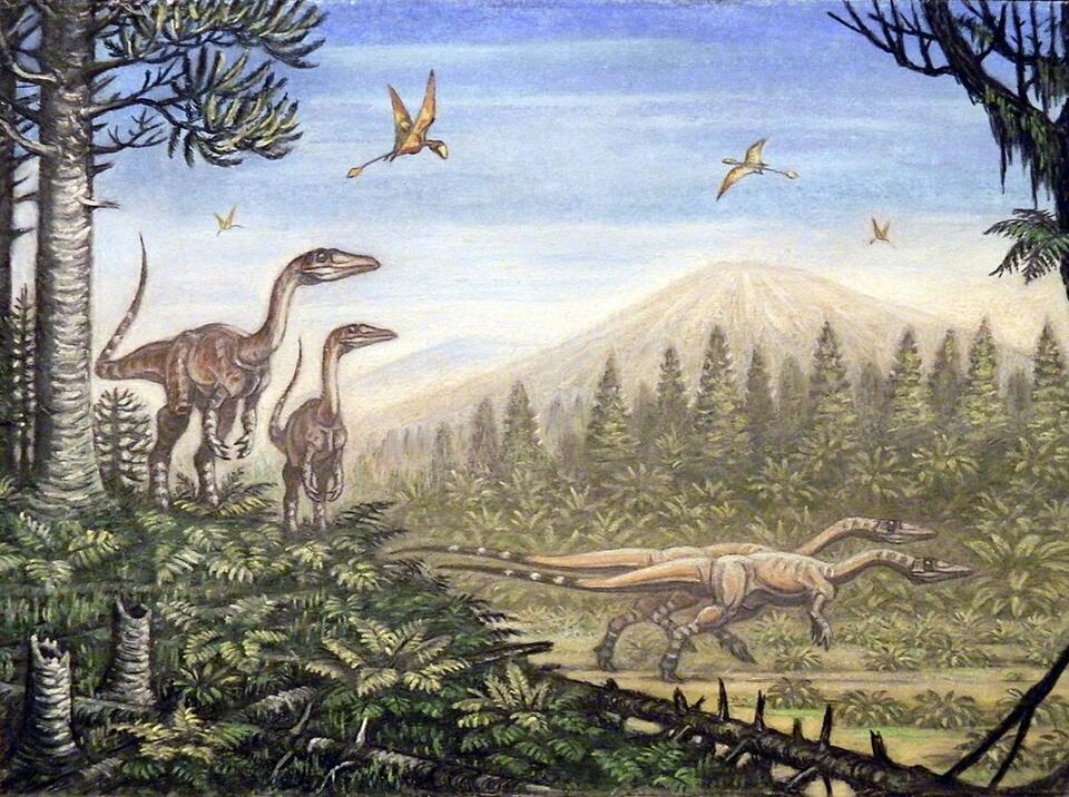 Could Dinosaurs Have Developed Complex Societies? - NewsBreak