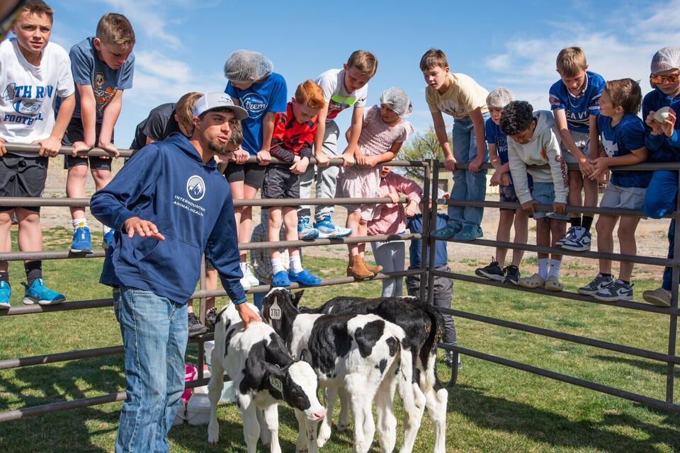 Utah seeks local beef and fruit tree vendors to connect with school ...