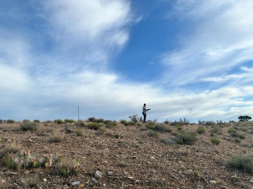2026 Conservation Ranching Bird Monitoring Results in the Rockies ...