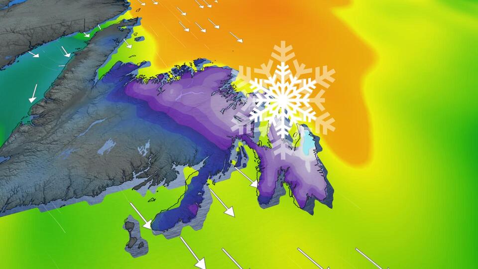 Winter storm targets parts of Newfoundland with up to 50 cm snow ...