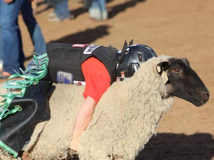 Coleman PRCA Rodeo 2023 MUTTON BUSTIN’ Information