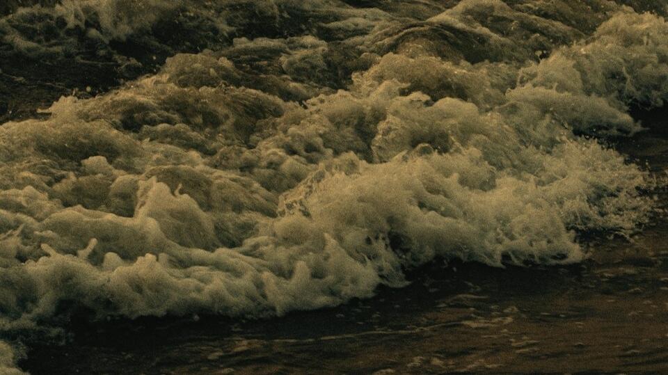 California King Tides Surge in Sausalito, Mill Valley, Tiburon ...