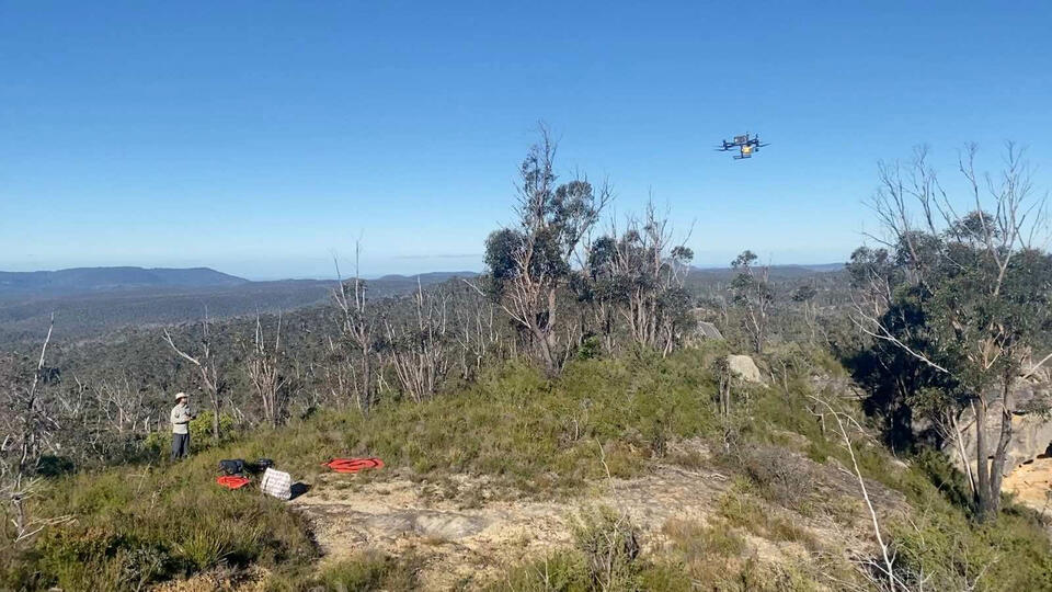 Drone Survey Identifies Rock Art Sites in Australia - NewsBreak