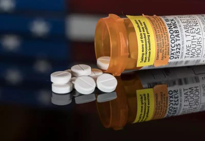 Vet Accused of Using Dead Dog in Prescription Drug Scheme - NewsBreak