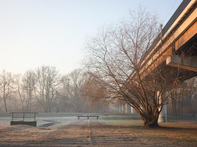 Lavonia Daily Weather Forecast