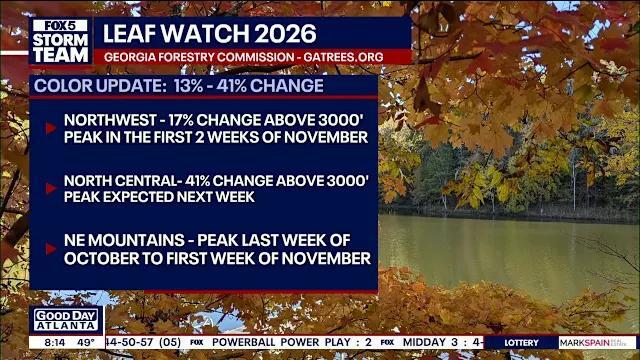 Leaf Watch 2026: Fall colors spreading in North Georgia - NewsBreak