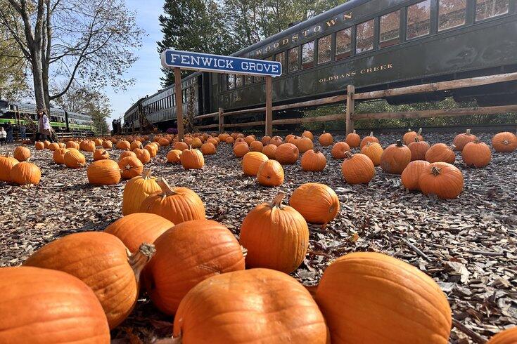Ride a train to a pumpkin patch and explore a South Jersey grove this ...