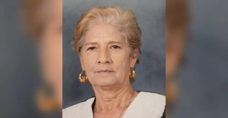 86-year-old woman mauled to death by dogs in Baxley - NewsBreak