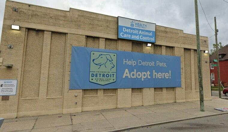 Detroit Animal Control Mandates Winter Pet Safety, Warns Neglect Could ...