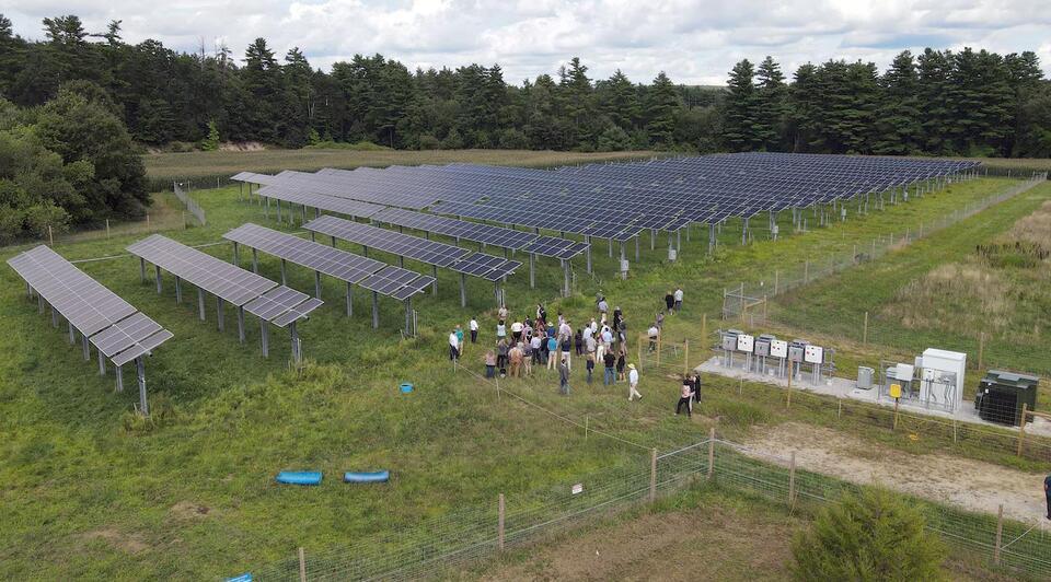 Solar Farm: Project in Palmer has cows grazing under a solar canopy ...