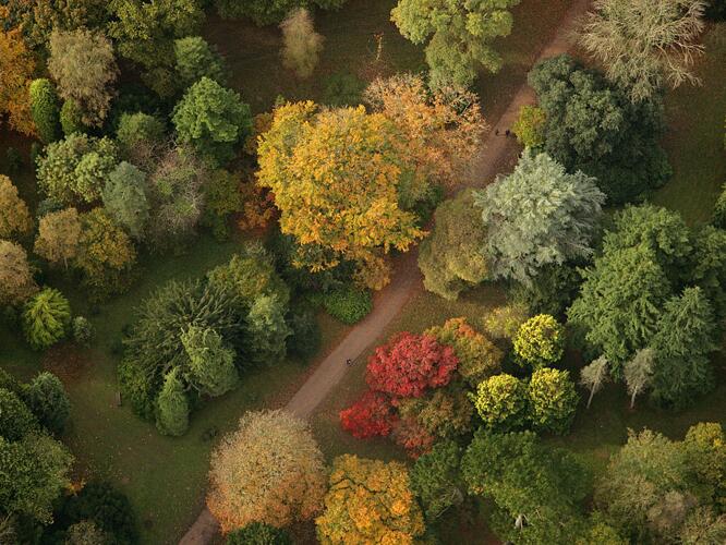 Daily Weather Forecast For Artesia