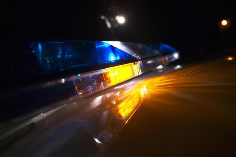 Dead bear found on Thurston County highway, Washington State Patrol ...