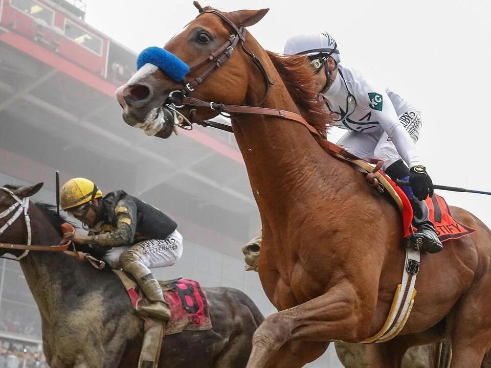 Preakness Stakes 2024 predictions, picks, time, horses, odds Best bets
