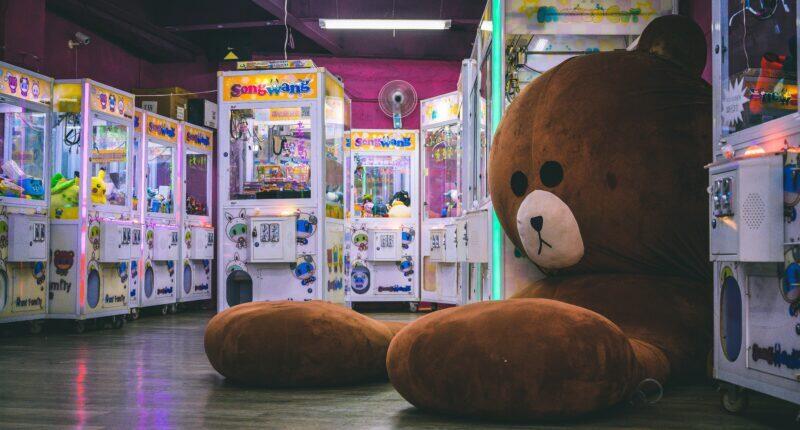 Lucky Puppy Is Bringing Its Claws To Powell - NewsBreak