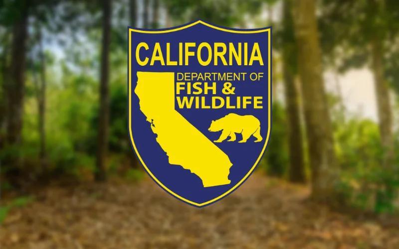 Wolf Management Update California Department of Fish and Wildlife July ...