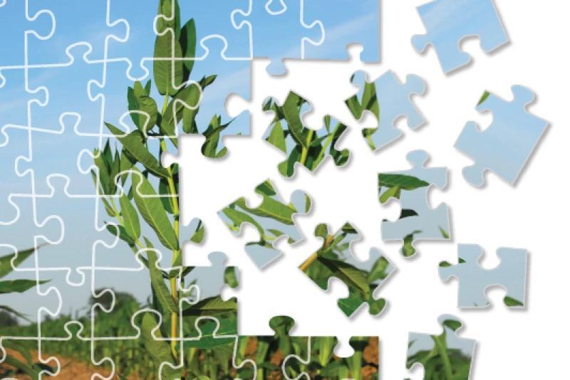 EPA-Approved Herbicides Promise Speedy Weed Control, Extended Residual ...