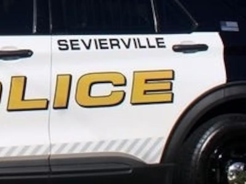 Sevierville Home Invasion: Police Investigate Deadly Bear Encounter - 6vm3y06