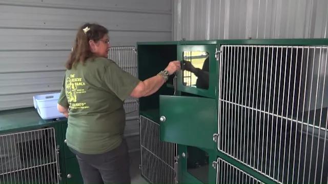 'An important thing' | New spay and neuter clinic coming to Perry in ...
