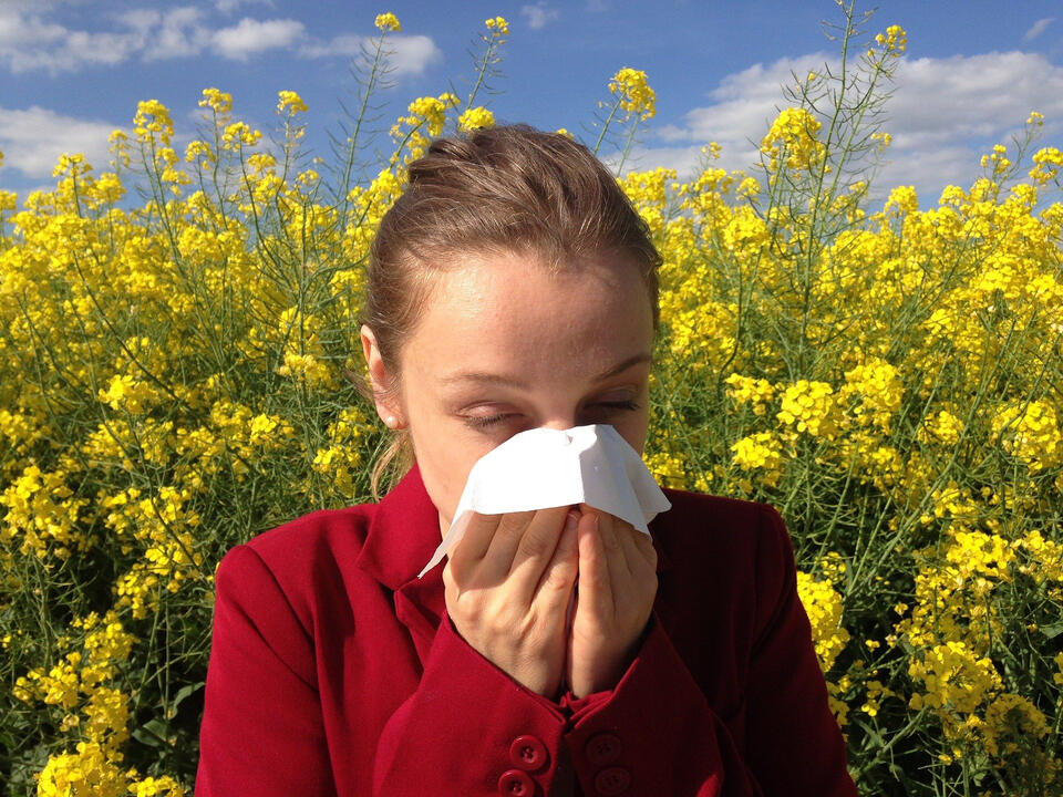No, it's not your imagination, spring allergy season in Chicago really