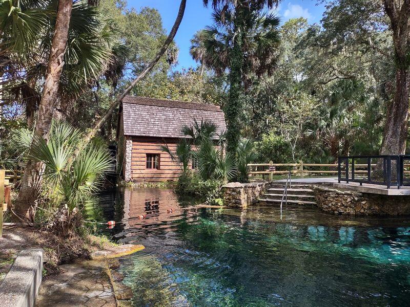 Deep In The Ocala Forest, Juniper Springs Hides A Clear Run Few ...