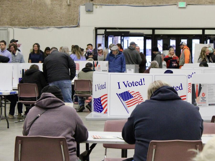 Montana voters react to the 2024 election results