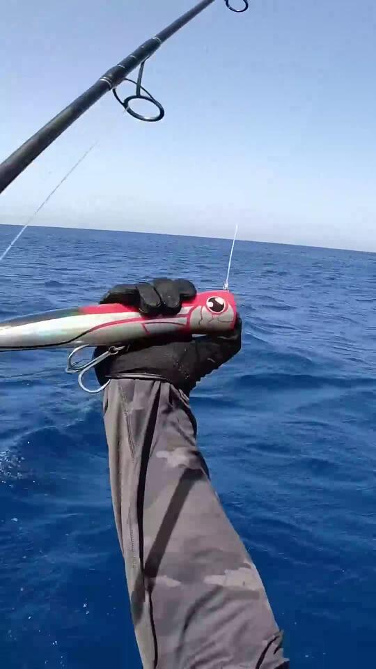 Pop Strike Dominate the Surface Game fishing pescaria sea nature ...