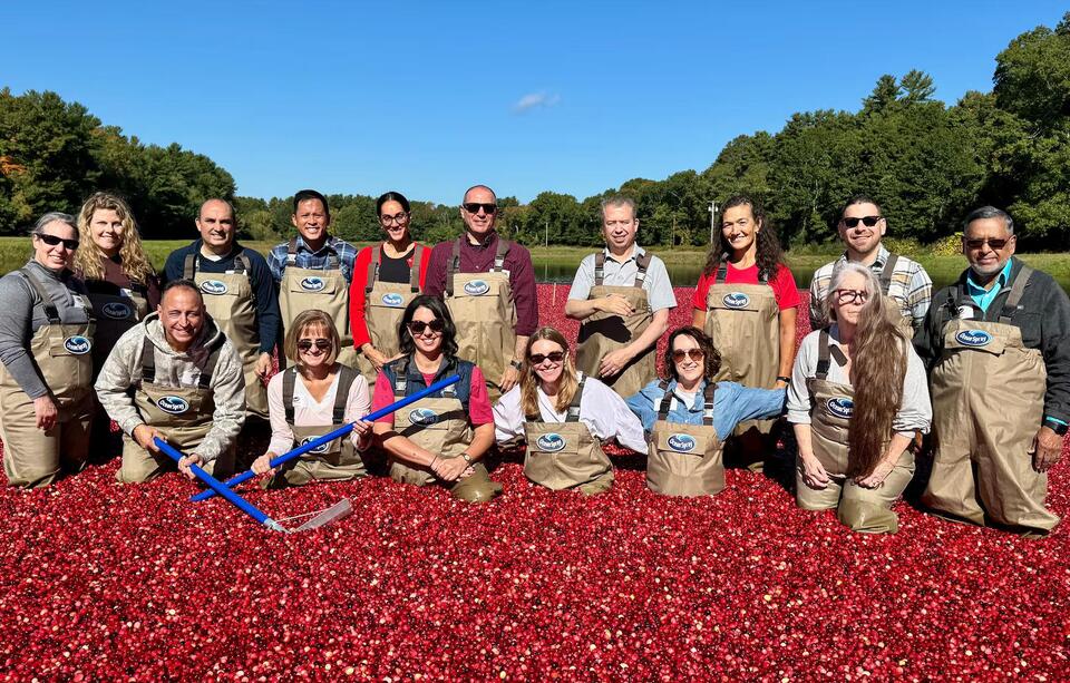Mass. schools to offer cranberries grown in the state - NewsBreak