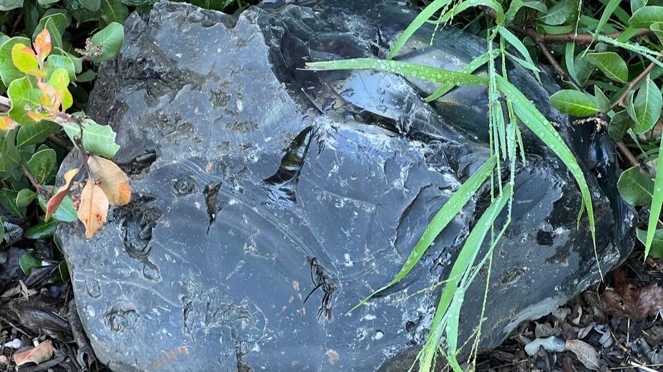 This Ancient Rock Is So Sharp, Modern Surgeons Still Use It to Make ...