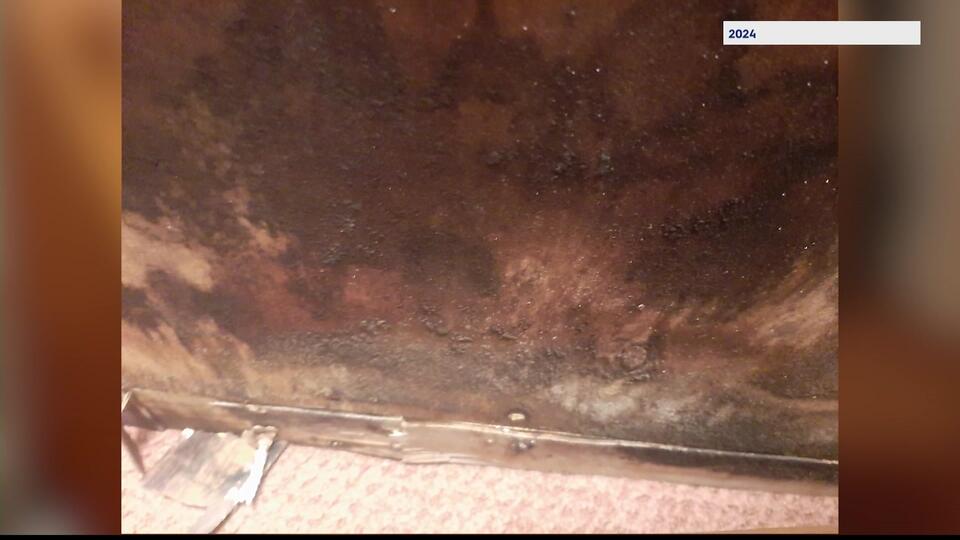 East New York Apartment possibly introduced to mold after water leaks