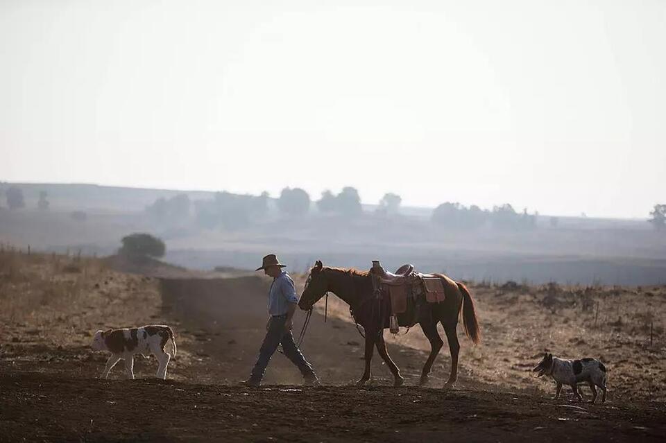 These Are the Biggest Ranches Across the State of Texas - NewsBreak