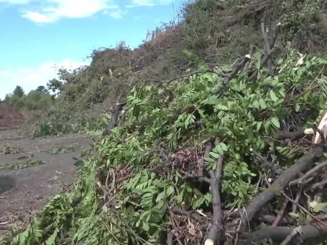 Ogden residents clean up after powerful weekend storms