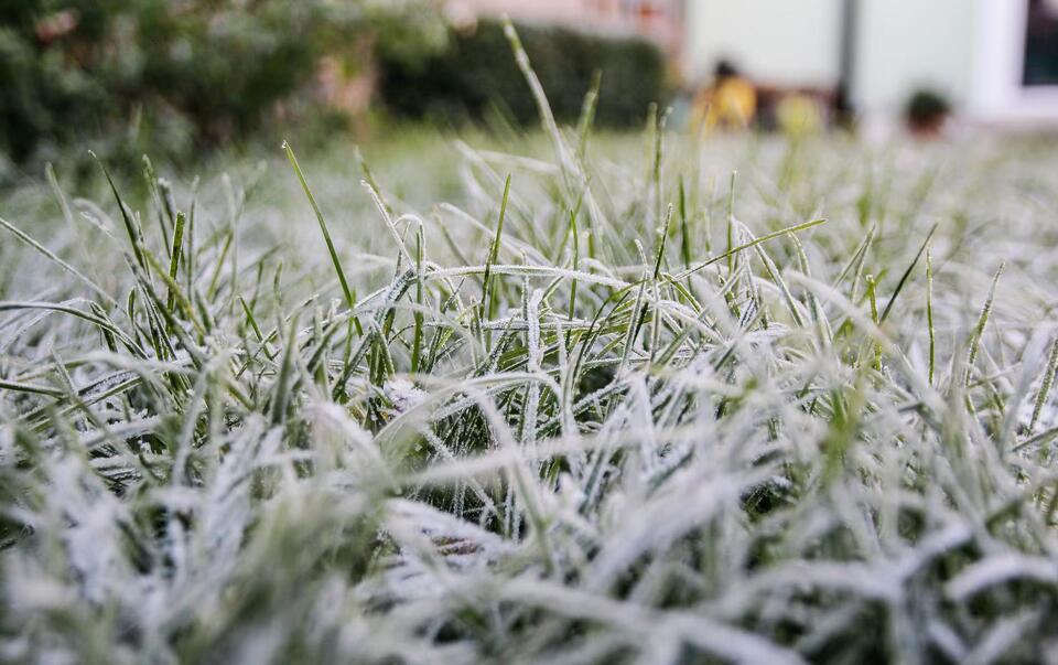 Freezing temps likely in Mass. Tuesday night following Monday night ...