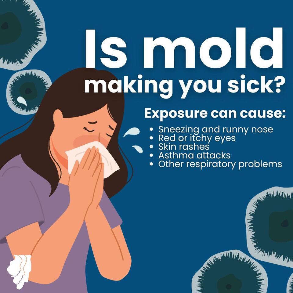 Health advisory on mold exposure after flooding - NewsBreak