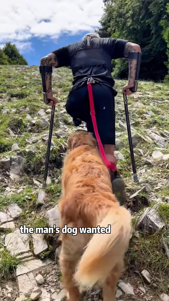  TrueCrimeStories A Mans Dog Was Actually His Legs NewsBreak