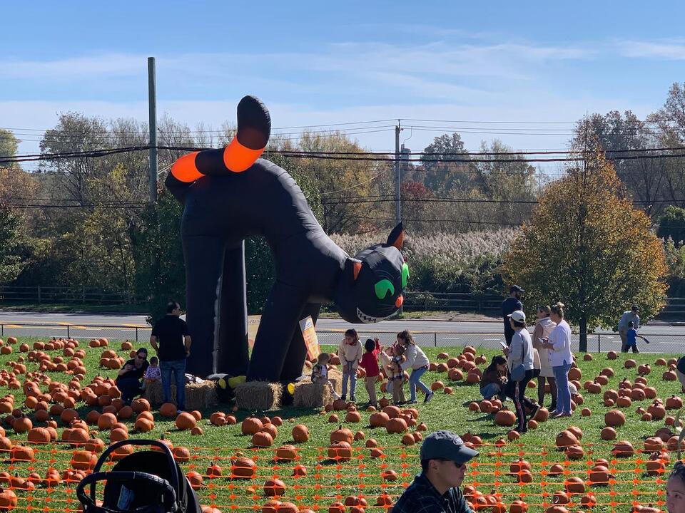 Staten Island things to do this weekend Pumpkin festival, theatre performance, charcoal drawing