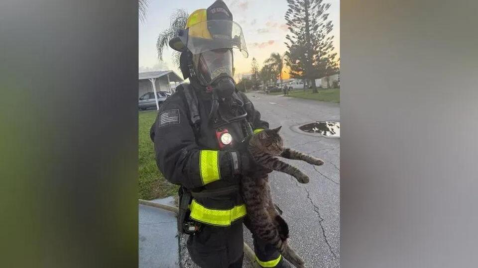 St. Lucie County firefighters respond to 2 structure fires, rescue cat ...
