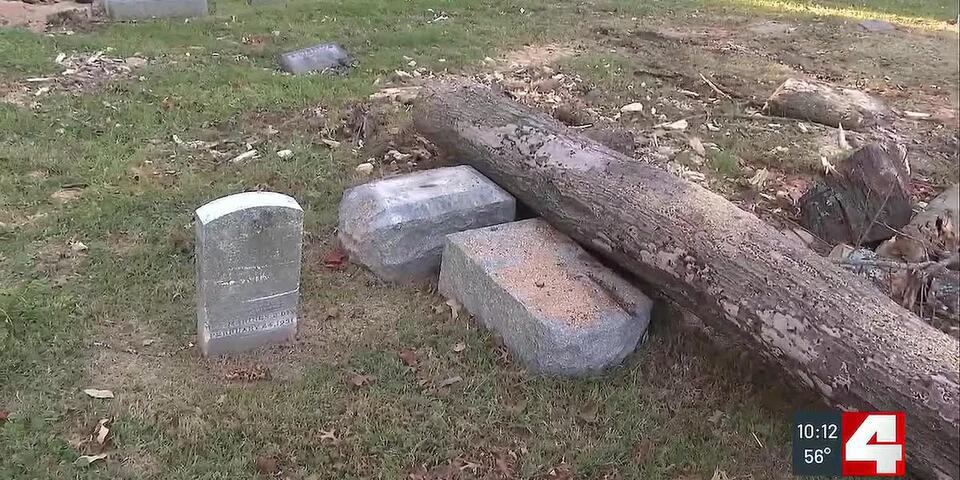 Fallen branches at Calvary Cemetery tied to planned tree removal ...