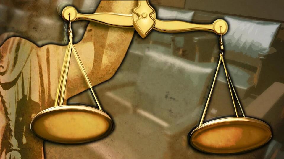 Kirkland Man Pleads Guilty to Animal Cruelty Charges in 'Eva' the Cat ...