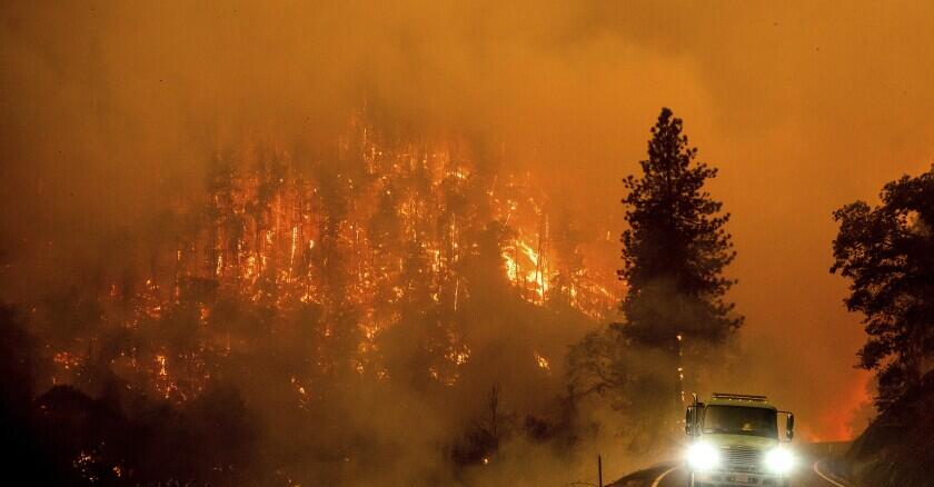 DNA, dental records identify 4 killed by California wildfire - Vimarsana News