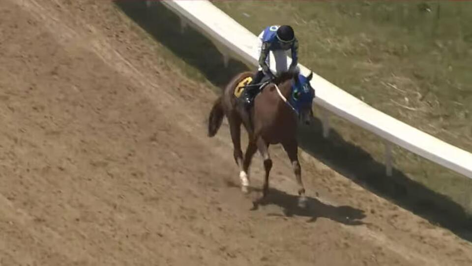 Skibidi Rizz wins back-to-back Ohio races as brainrot horse keeps ...