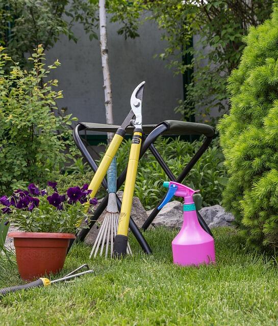 📅 Free Plant & Seed Swap at Kennett Library Oct 3 - NewsBreak