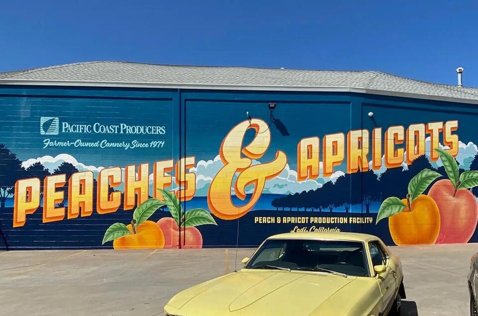 Jamie Stark Reimagines Vintage Produce Labels and Cans as Murals for ...