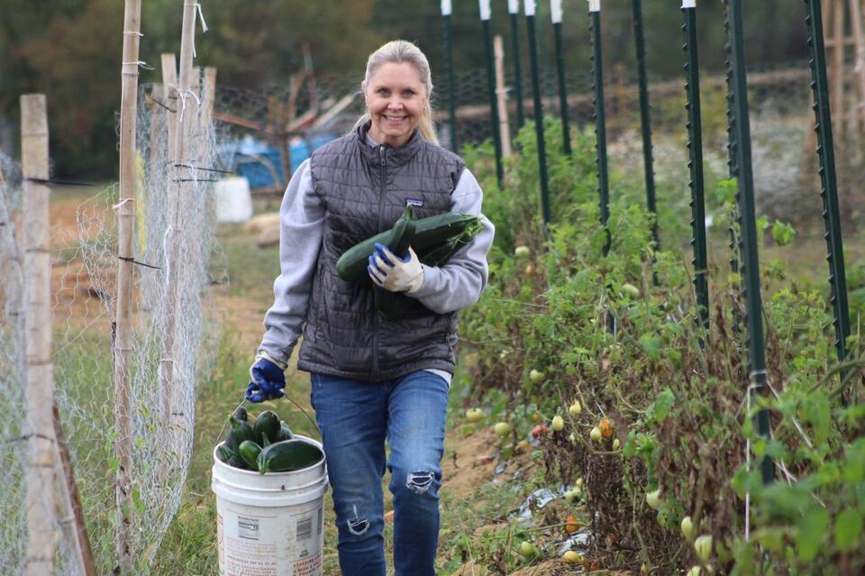 PHOTOS: Record harvest helps fight food insecurity, supports Quantico ...