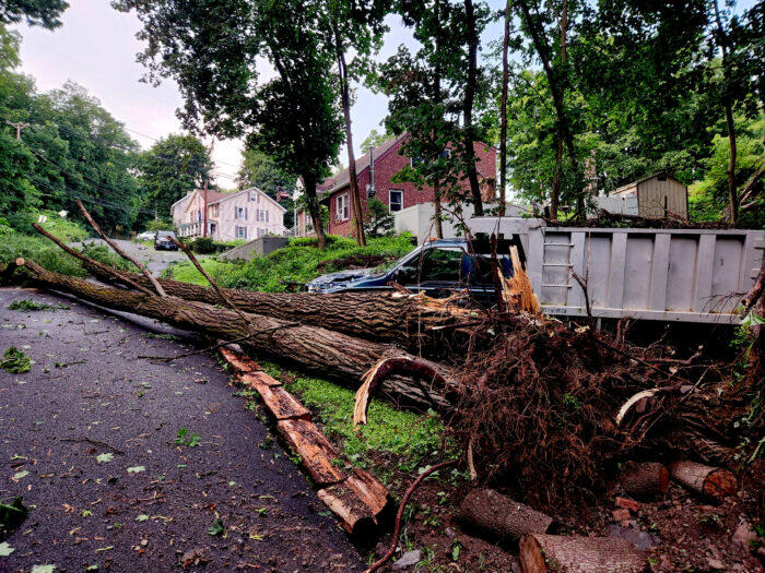 Storm knocks out Rondout power, downs trees - NewsBreak